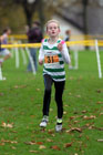 Orange 31, North East Harrier League.